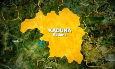 Kaduna: Squatters kill KADVIS local commander over grazing reserve