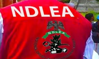 NDLEA intercepts 1,300kg of illicit drugs in Jigawa