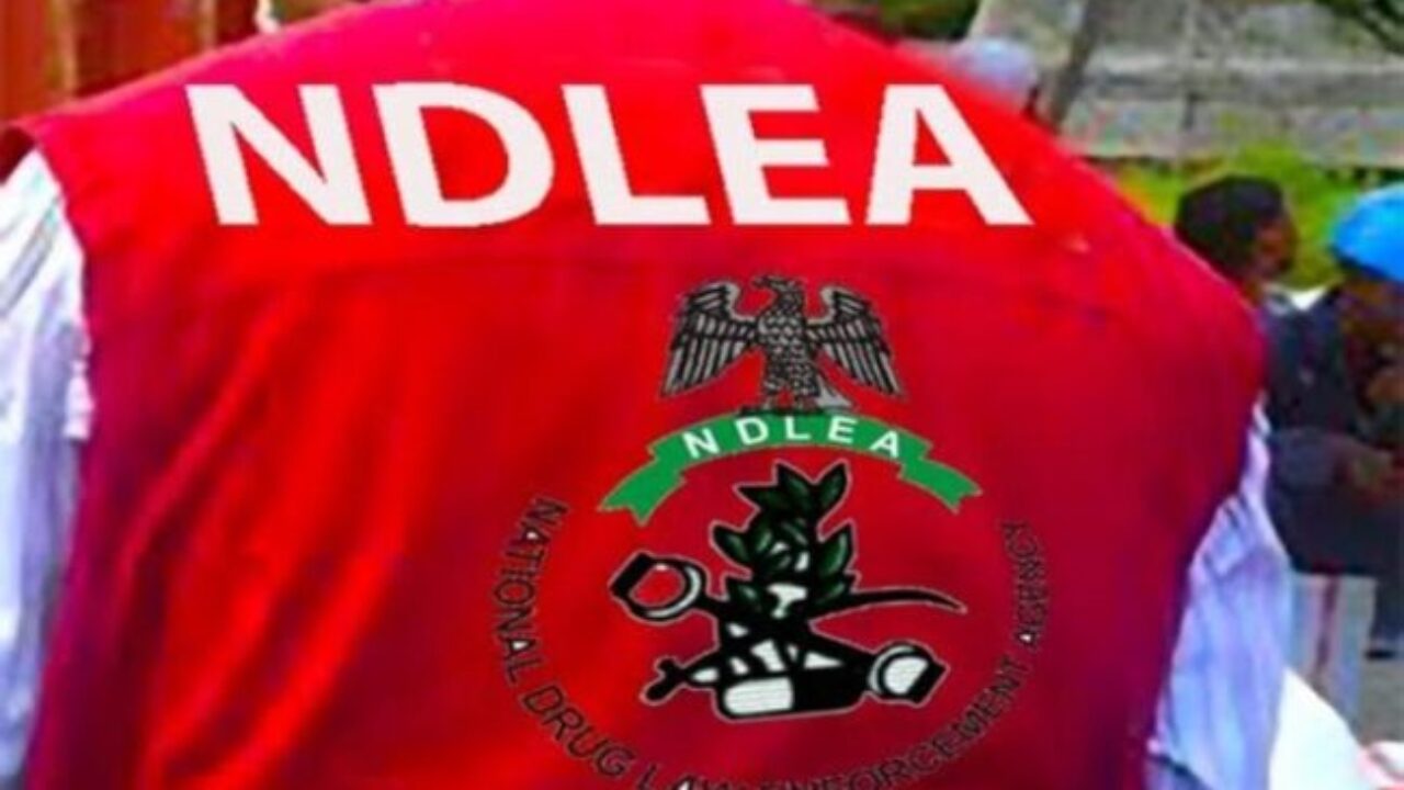 NDLEA intercepts 1,300kg of illicit drugs in Jigawa