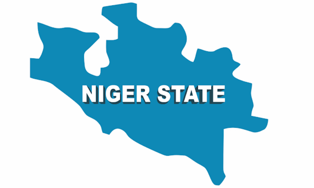 Niger Govt to crack down on sellers of adulterated fertilisers