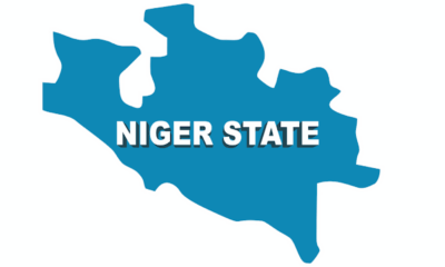 Niger Govt to crack down on sellers of adulterated fertilisers