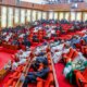 Nigerian Senate extends 2024 capital budget implemetation for second time