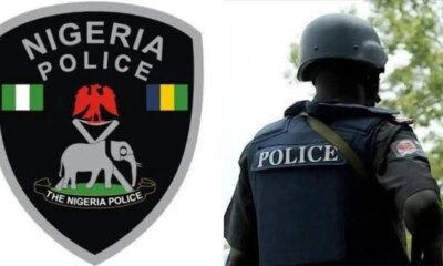 Suspected robber on Adamawa Police wanted list arrested