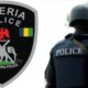 Suspected robber on Adamawa Police wanted list arrested