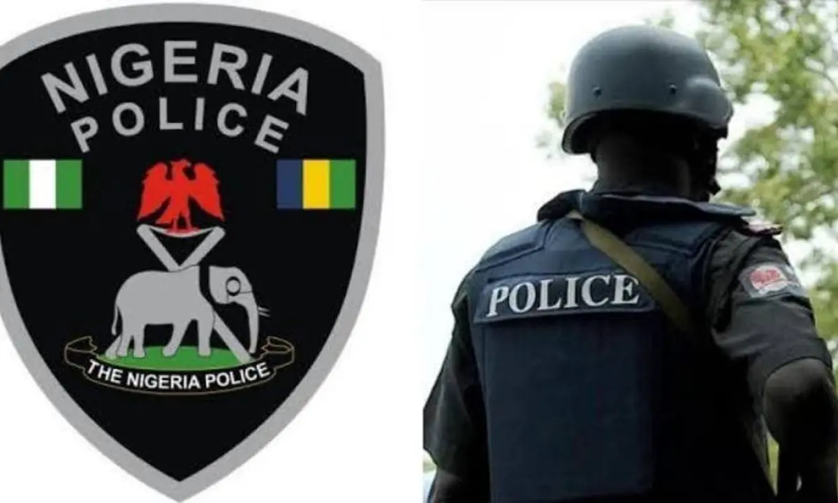 Suspected robber on Adamawa Police wanted list arrested