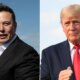 Give credit where it's due - Elon Musk hails Trump on Gaza ceasefire