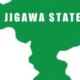 Jigawa Local Government Council chairman dies