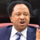 Leave Trump, American politics, reconnect with South Africa - Shehu Sani advises Elon Musk