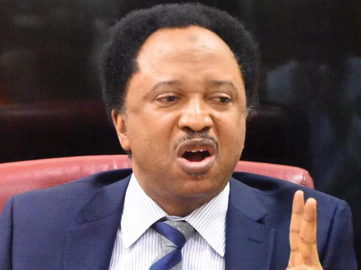 Leave Trump, American politics, reconnect with South Africa - Shehu Sani advises Elon Musk