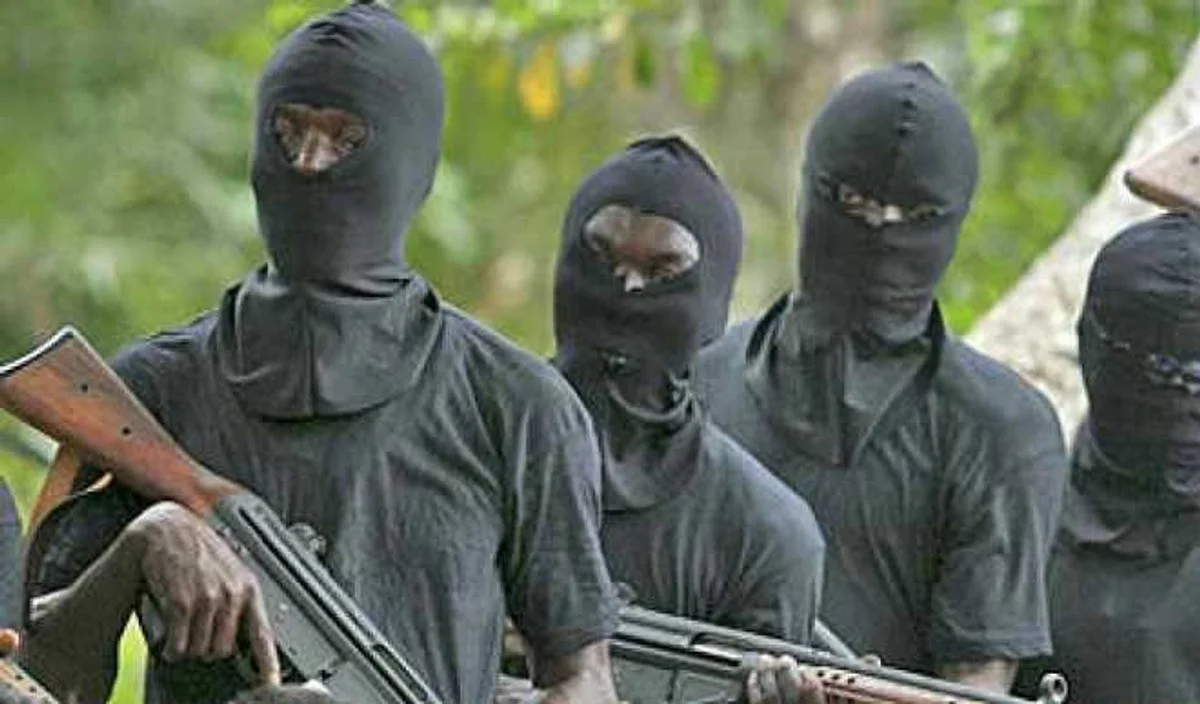 Suspected gunmen kill cows, abduct children from Plateau herders’ settlement