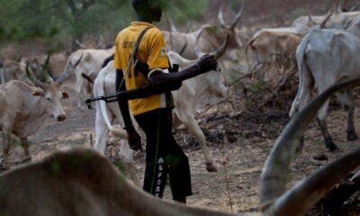 Suspected herdsmen kill retired headmaster, village head, one other in fresh Benue attack