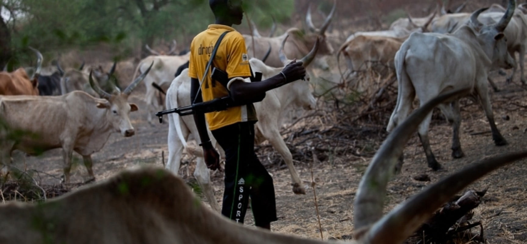Suspected herdsmen kill retired headmaster, village head, one other in fresh Benue attack