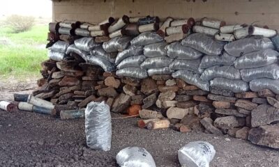 Troops recover 56 explosive devices in Borno