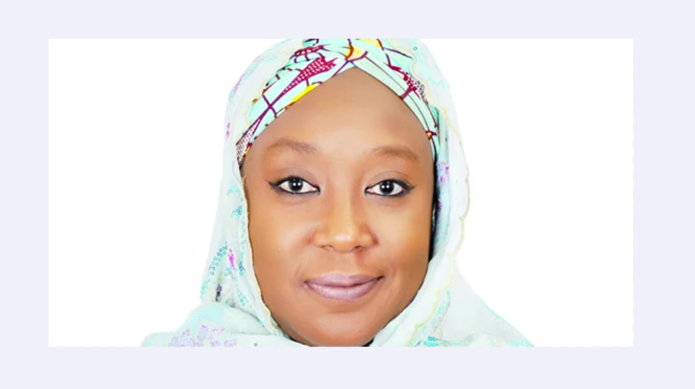 Yobe lawmaker raises alarm over terrorists attacks
